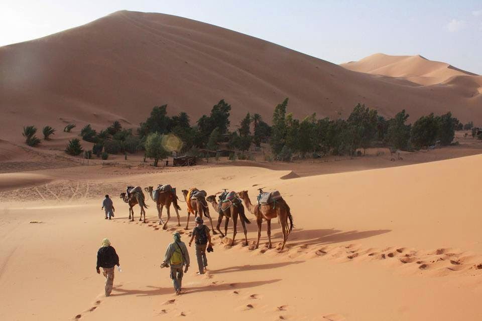 Sahara Experience
