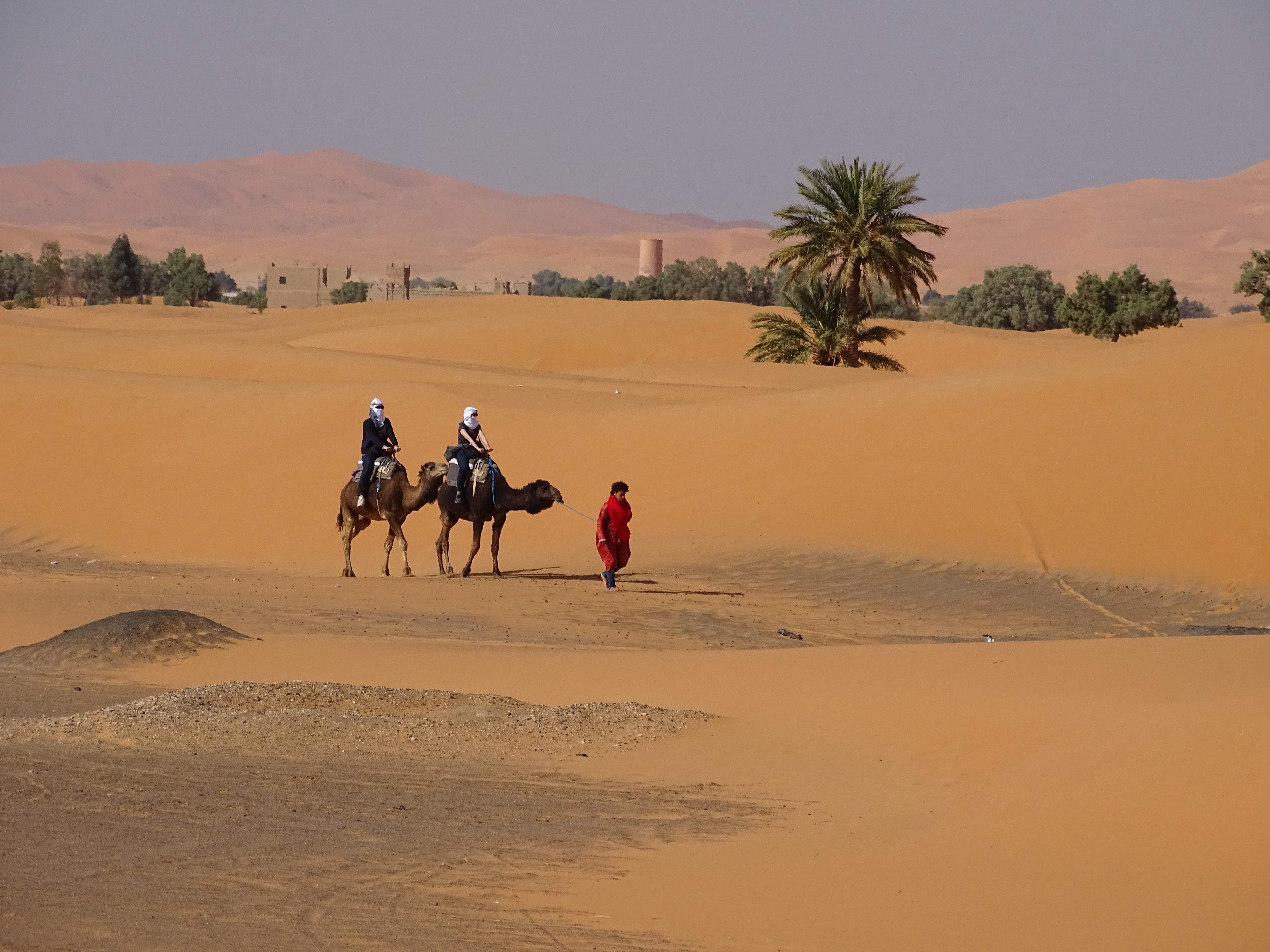 Desert Camp Experience