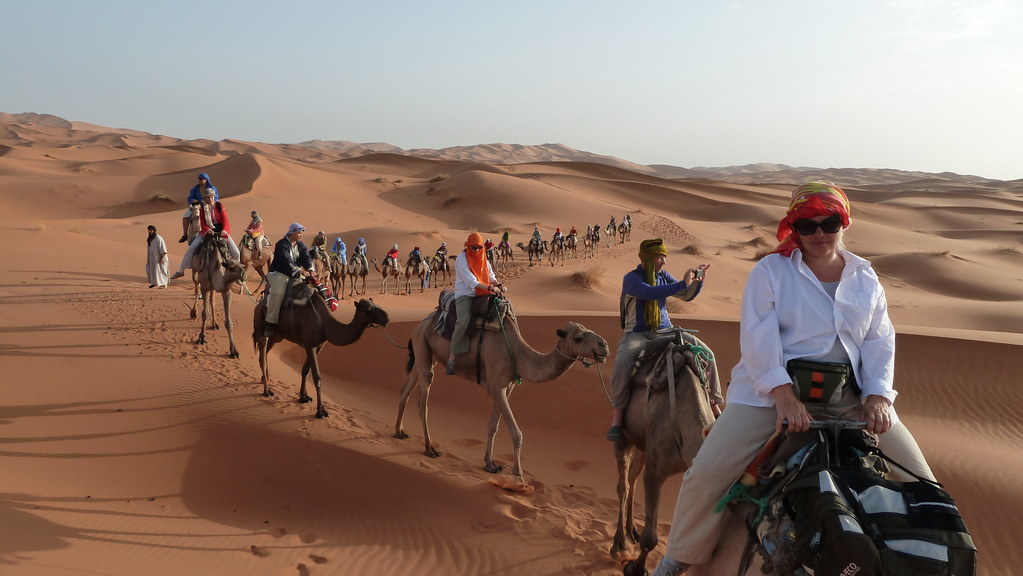 Camel Trekking