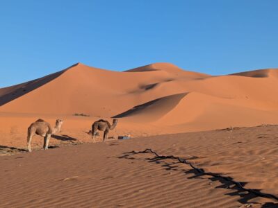 Merzouga Desert Trekking Adventures