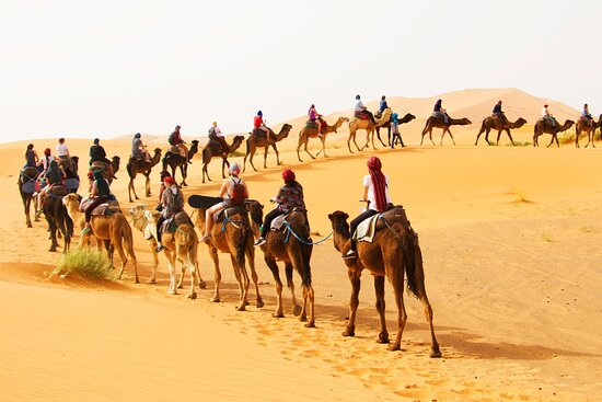 Overnight in Merzouga Desert